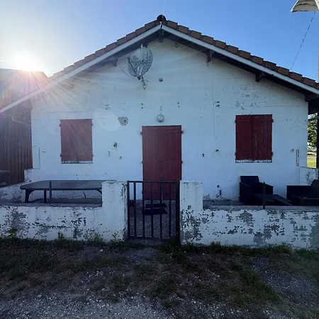 La Landaise Entre Bordeaux Et Arcachon